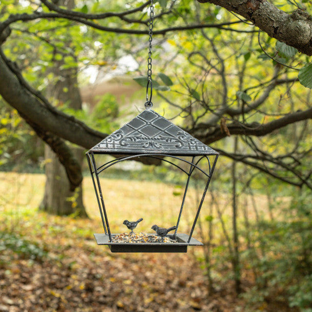 Aged Black Bird Feeder with Two Little Birds