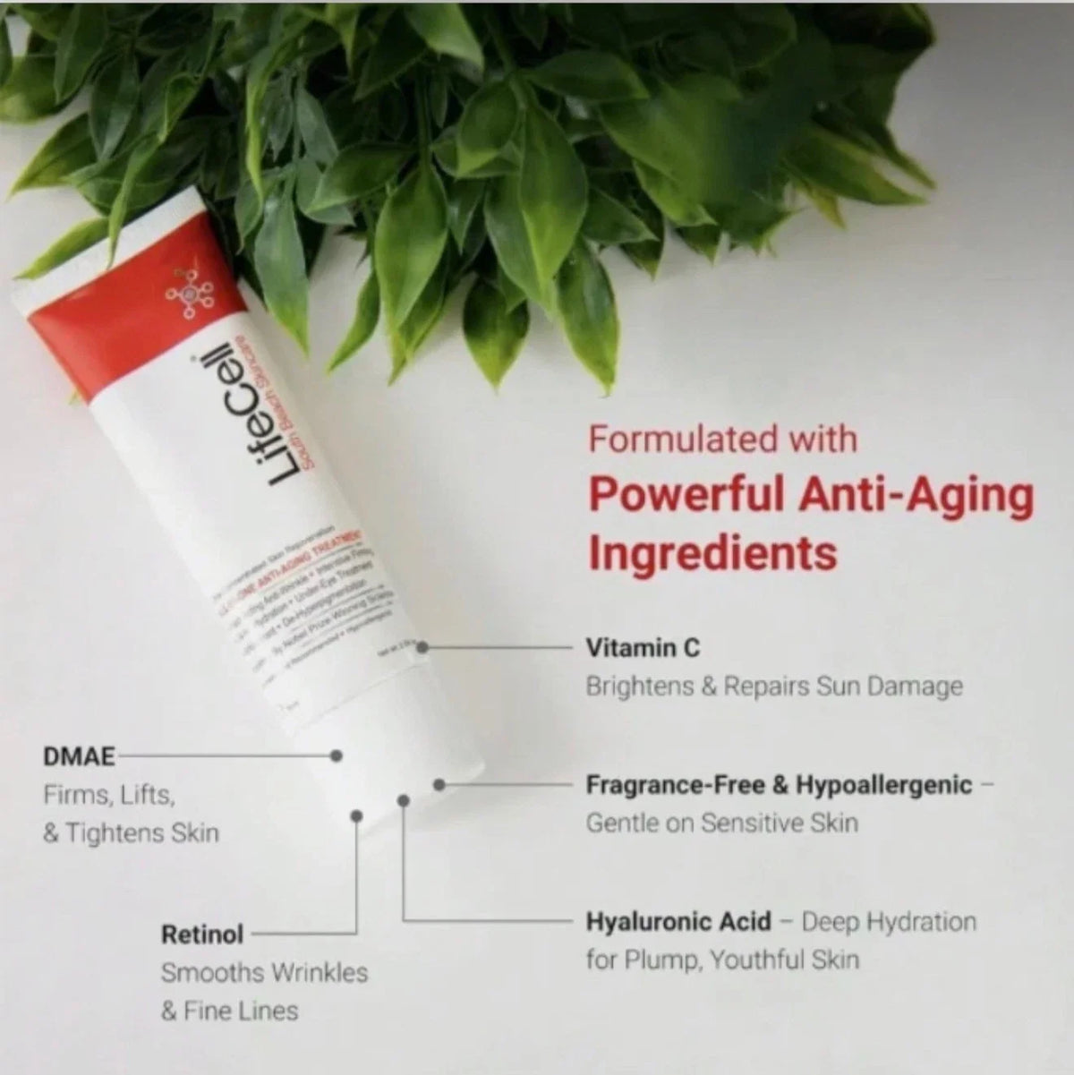 South Beach All-In-One Anti-Aging Treatment, 2.54oz – Firming & Hydrating Care
